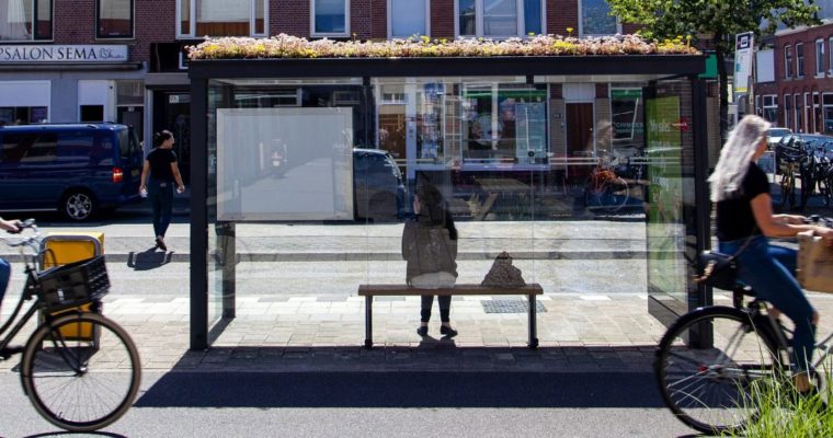 Could more bus stops become bee friendly?