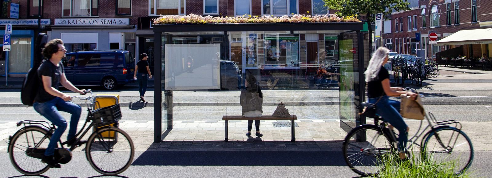 Could more bus stops become bee friendly?